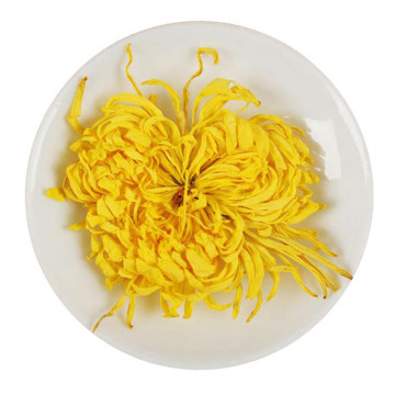 金丝皇菊.jpg