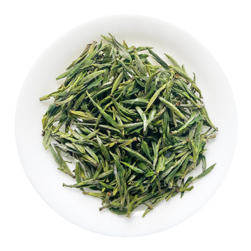 江山绿牡丹.jpg