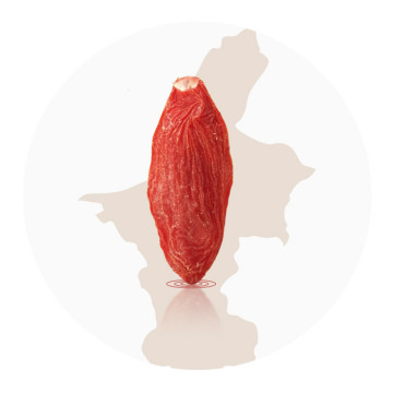 枸杞茶.jpg