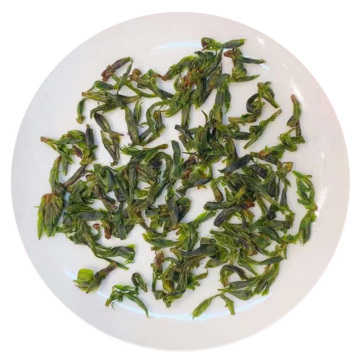余庆苦丁茶（小叶苦丁茶）.jpg
