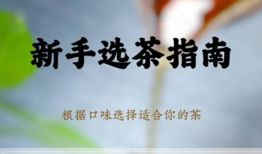 乌龙茶选茶指南：铁观音、大红袍、肉桂、水仙选购区别大全