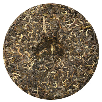 老曼峨普洱茶.jpg
