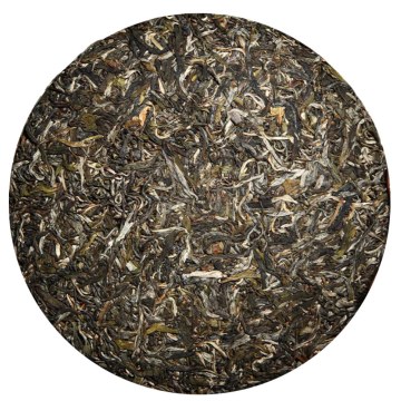 倚邦普洱茶.jpg