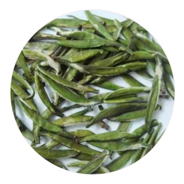 仙人掌茶.jpg