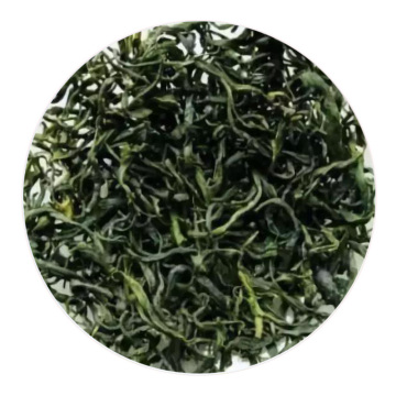 九龙茶.jpg