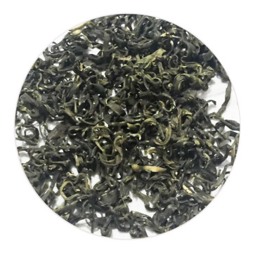 龙岩斜背茶.jpg