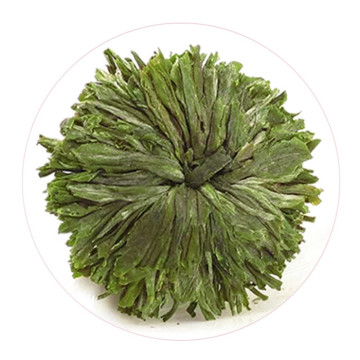 黄山绿牡丹.jpg