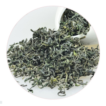 崂山绿茶.jpg