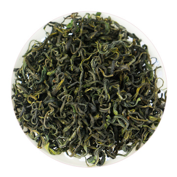 日照绿茶.jpg