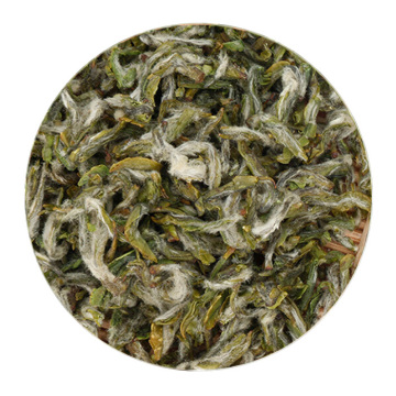 普陀佛茶（普陀山云雾茶、凤尾茶）.jpg